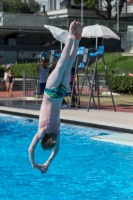 Thumbnail - Boys C - Quinn - Diving Sports - 2017 - Trofeo Niccolo Campo - Participants - Great Britain 03013_15434.jpg