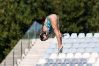 Thumbnail - Arianna - Plongeon - 2017 - Trofeo Niccolo Campo - Participants - Italien - Girls C 03013_15712.jpg