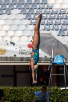 Thumbnail - Italien - Girls C - Plongeon - 2017 - Trofeo Niccolo Campo - Participants 03013_15716.jpg