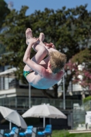 Thumbnail - Boys C - Quinn - Diving Sports - 2017 - Trofeo Niccolo Campo - Participants - Great Britain 03013_15803.jpg