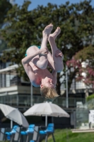 Thumbnail - Boys C - Quinn - Diving Sports - 2017 - Trofeo Niccolo Campo - Participants - Great Britain 03013_15804.jpg