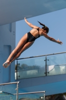 Thumbnail - Alessandra F - Diving Sports - 2017 - Trofeo Niccolo Campo - Participants - Italien - Girls C 03013_15810.jpg