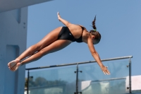 Thumbnail - Alessandra F - Diving Sports - 2017 - Trofeo Niccolo Campo - Participants - Italien - Girls C 03013_15812.jpg