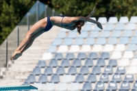 Thumbnail - Alessandra C - Diving Sports - 2017 - Trofeo Niccolo Campo - Participants - Italien - Girls C 03013_15892.jpg