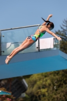 Thumbnail - Italien - Girls C - Diving Sports - 2017 - Trofeo Niccolo Campo - Participants 03013_16100.jpg