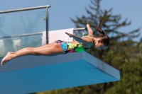 Thumbnail - Italien - Girls C - Diving Sports - 2017 - Trofeo Niccolo Campo - Participants 03013_16103.jpg