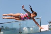 Thumbnail - Italien - Girls C - Diving Sports - 2017 - Trofeo Niccolo Campo - Participants 03013_16127.jpg