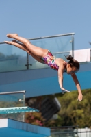 Thumbnail - Italien - Girls C - Diving Sports - 2017 - Trofeo Niccolo Campo - Participants 03013_16129.jpg