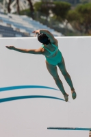 Thumbnail - Girls A - Alice Gardenghi - Diving Sports - 2017 - Trofeo Niccolo Campo - Participants - Italy - Girls A and B 03013_19182.jpg