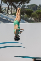 Thumbnail - Girls A - Alice Gardenghi - Diving Sports - 2017 - Trofeo Niccolo Campo - Participants - Italy - Girls A and B 03013_19413.jpg