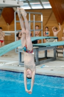 Thumbnail - Participants - Прыжки в воду - 2019 - Alpe Adria Zadar 03029_00103.jpg