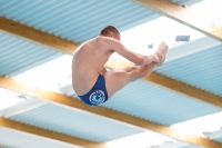 Thumbnail - Boys B - Toni - Прыжки в воду - 2019 - Alpe Adria Zadar - Participants - Croatia - Boys 03029_01304.jpg
