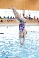 Thumbnail - Kroatien - Girls - Diving Sports - 2019 - Alpe Adria Zadar - Participants 03029_01323.jpg