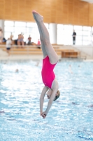 Thumbnail - Kroatien - Girls - Прыжки в воду - 2019 - Alpe Adria Zadar - Participants 03029_01327.jpg