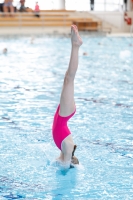 Thumbnail - Kroatien - Girls - Diving Sports - 2019 - Alpe Adria Zadar - Participants 03029_01328.jpg