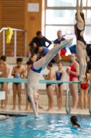 Thumbnail - Russia - Diving Sports - 2019 - Alpe Adria Zadar - Participants 03029_02012.jpg
