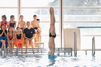 Thumbnail - Boys C - Nicola - Прыжки в воду - 2019 - Alpe Adria Zadar - Participants - Italy 03029_02628.jpg