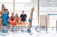 Thumbnail - Italy - Прыжки в воду - 2019 - Alpe Adria Zadar - Participants 03029_02640.jpg