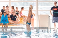 Thumbnail - Boys C - Samuel - Прыжки в воду - 2019 - Alpe Adria Zadar - Participants - Austria 03029_02856.jpg