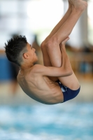 Thumbnail - Boys C - Aryan - Прыжки в воду - 2019 - Alpe Adria Zadar - Participants - Croatia - Boys 03029_02941.jpg