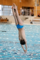 Thumbnail - Italy - Diving Sports - 2019 - Alpe Adria Zadar - Participants 03029_03840.jpg