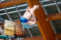Thumbnail - Boys D - Quentin - Diving Sports - 2019 - Alpe Adria Zadar - Participants - France 03029_05815.jpg
