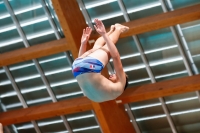 Thumbnail - Boys A - Axel Renaud - Diving Sports - 2019 - Alpe Adria Zadar - Participants - France 03029_06864.jpg