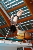 Thumbnail - Boys A - Manó Hunyady - Diving Sports - 2019 - Alpe Adria Zadar - Participants - Hungary 03029_07556.jpg