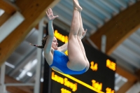 Thumbnail - Girls A - Laura Seregi - Прыжки в воду - 2019 - Alpe Adria Zadar - Participants - Hungary 03029_09671.jpg