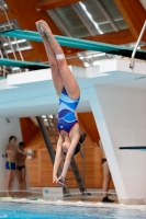 Thumbnail - Girls B - Lou Dieudonne - Прыжки в воду - 2019 - Alpe Adria Zadar - Participants - France 03029_09825.jpg