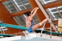 Thumbnail - Girls B - Lou Dieudonne - Diving Sports - 2019 - Alpe Adria Zadar - Participants - France 03029_10063.jpg
