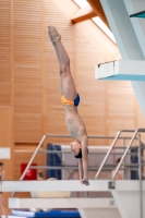 Thumbnail - Boys C - Nicola - Прыжки в воду - 2019 - Alpe Adria Zadar - Participants - Italy 03029_10630.jpg