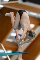 Thumbnail - Boys D - Vito L - Diving Sports - 2019 - Alpe Adria Zadar - Participants - Croatia - Boys 03029_12342.jpg