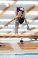 Thumbnail - Girls D - Mia - Diving Sports - 2019 - Alpe Adria Zadar - Participants - Serbia 03029_13453.jpg