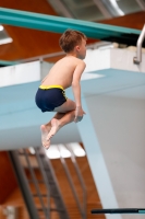 Thumbnail - Boys E - Levan - Diving Sports - 2019 - Alpe Adria Zadar - Participants - Croatia - Boys 03029_13593.jpg