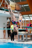 Thumbnail - Girls E - Alice - Diving Sports - 2019 - Alpe Adria Zadar - Participants - Italy 03029_14017.jpg