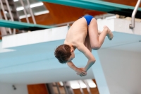 Thumbnail - Boys E - Jakov M - Прыжки в воду - 2019 - Alpe Adria Zadar - Participants - Croatia - Boys 03029_14022.jpg