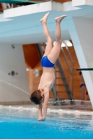 Thumbnail - Boys E - Jakov M - Прыжки в воду - 2019 - Alpe Adria Zadar - Participants - Croatia - Boys 03029_14026.jpg