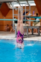 Thumbnail - Girls D - Caterina - Прыжки в воду - 2019 - Alpe Adria Zadar - Participants - Italy 03029_14720.jpg