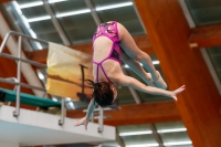 Thumbnail - Girls D - Caterina - Прыжки в воду - 2019 - Alpe Adria Zadar - Participants - Italy 03029_15253.jpg