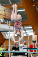 Thumbnail - Girls E - Anika - Прыжки в воду - 2019 - Alpe Adria Zadar - Participants - Kroatien - Girls 03029_15462.jpg