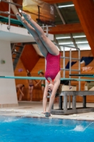 Thumbnail - Girls D - Karla - Diving Sports - 2019 - Alpe Adria Zadar - Participants - Kroatien - Girls 03029_15524.jpg