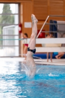 Thumbnail - Boys D - Bogdan - Plongeon - 2019 - Alpe Adria Zadar - Participants - Serbia 03029_15543.jpg