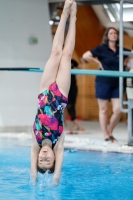 Thumbnail - Girls E - Alice - Diving Sports - 2019 - Alpe Adria Zadar - Participants - Italy 03029_15637.jpg