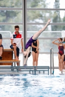 Thumbnail - Girls D - Mia - Diving Sports - 2019 - Alpe Adria Zadar - Participants - Serbia 03029_15781.jpg