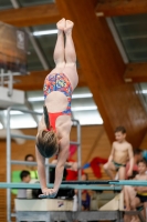 Thumbnail - Girls E - Anika - Diving Sports - 2019 - Alpe Adria Zadar - Participants - Kroatien - Girls 03029_15910.jpg