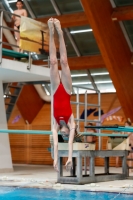 Thumbnail - Girls D - Nathalie - Diving Sports - 2019 - Alpe Adria Zadar - Participants - France 03029_16218.jpg
