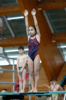 Thumbnail - Girls E - Neva - Прыжки в воду - 2019 - Alpe Adria Zadar - Participants - Kroatien - Girls 03029_16300.jpg