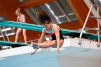 Thumbnail - Girls D - Emilie - Прыжки в воду - 2019 - Alpe Adria Zadar - Participants - Austria 03029_16403.jpg