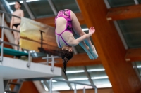 Thumbnail - Girls D - Caterina - Прыжки в воду - 2019 - Alpe Adria Zadar - Participants - Italy 03029_16408.jpg